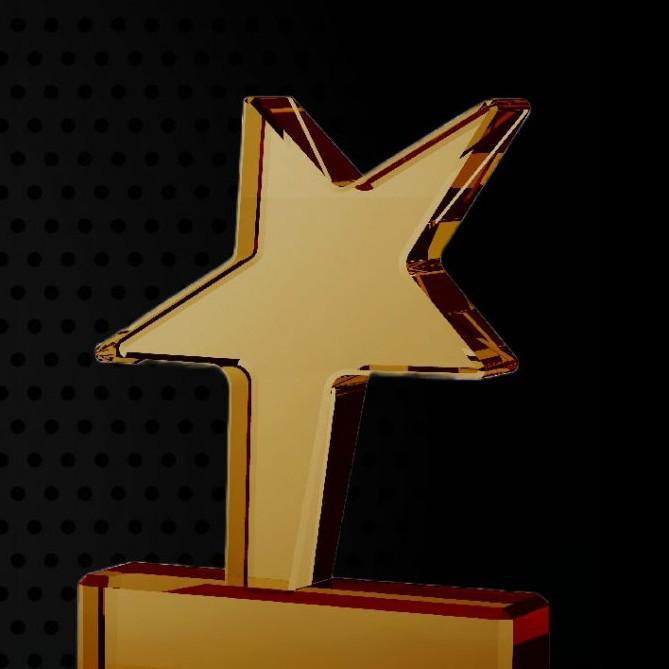 image of gold star